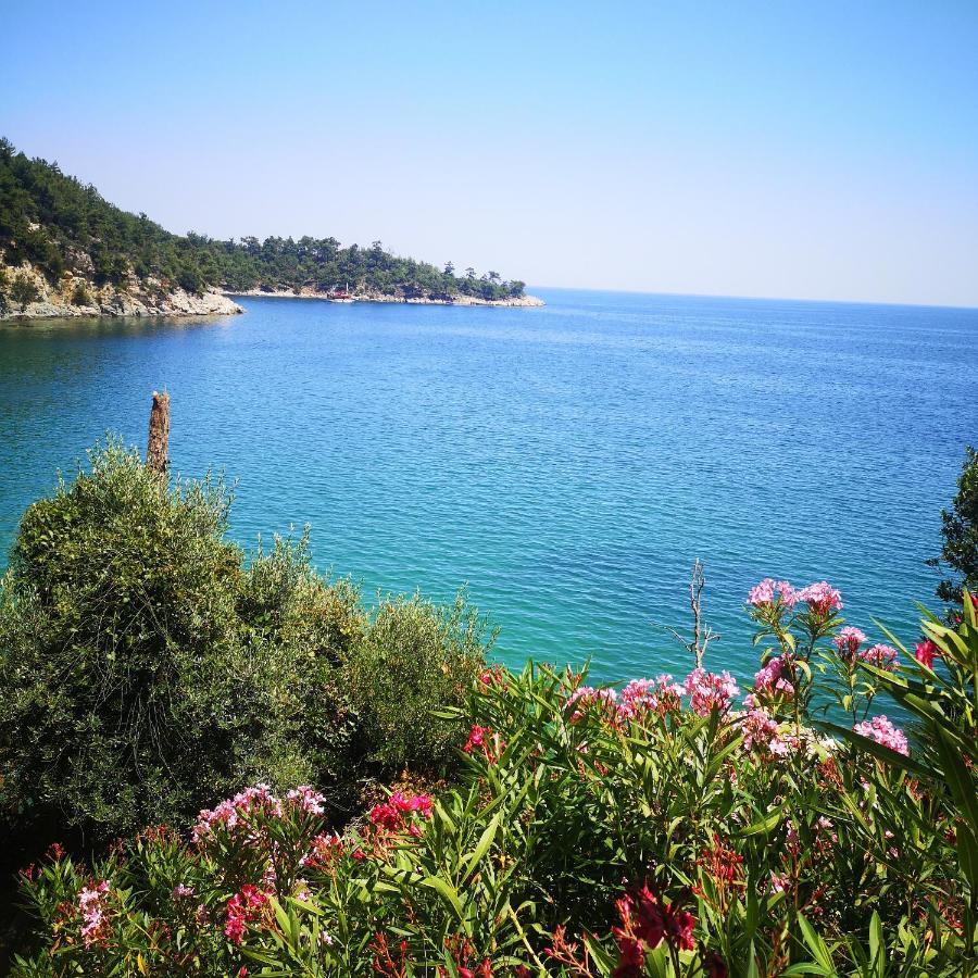 Bel Air Villa Skala Potamia  Eksteriør billede