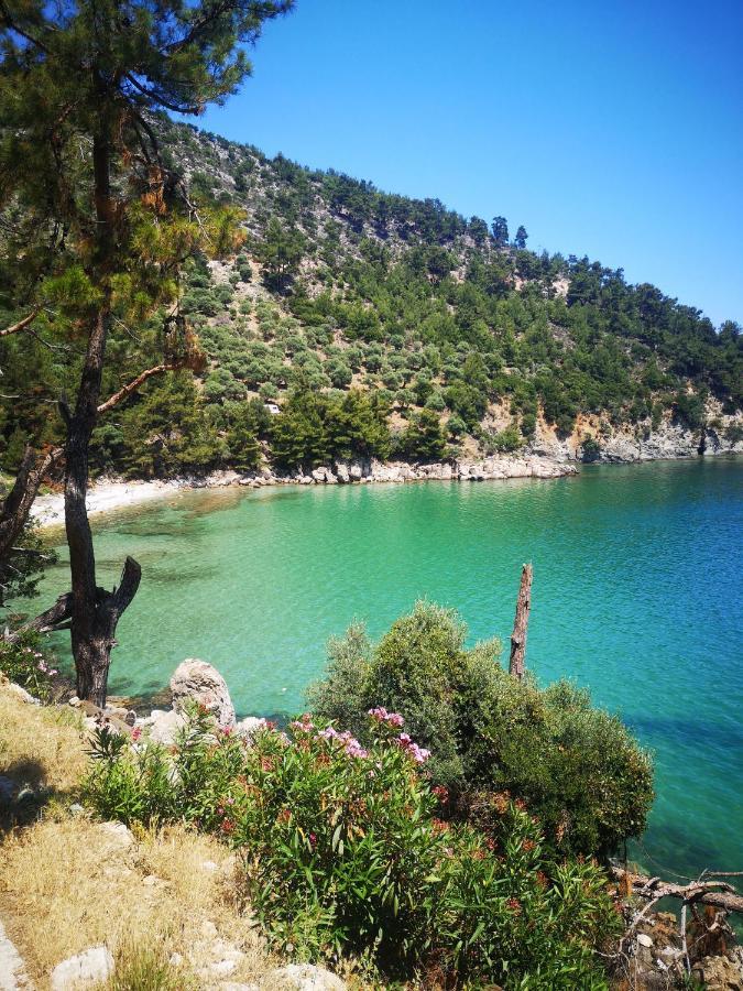 Bel Air Villa Skala Potamia  Eksteriør billede